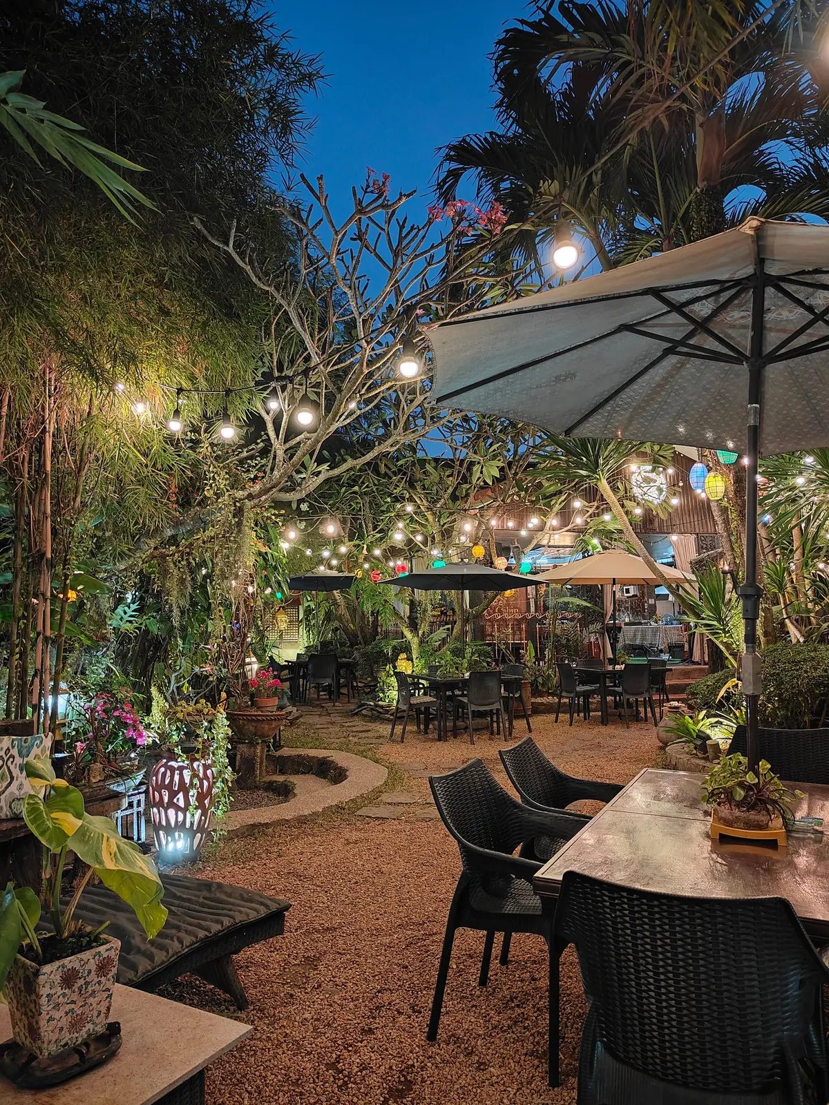 The lantern-lit garden at dusk with umbrella tables and palms