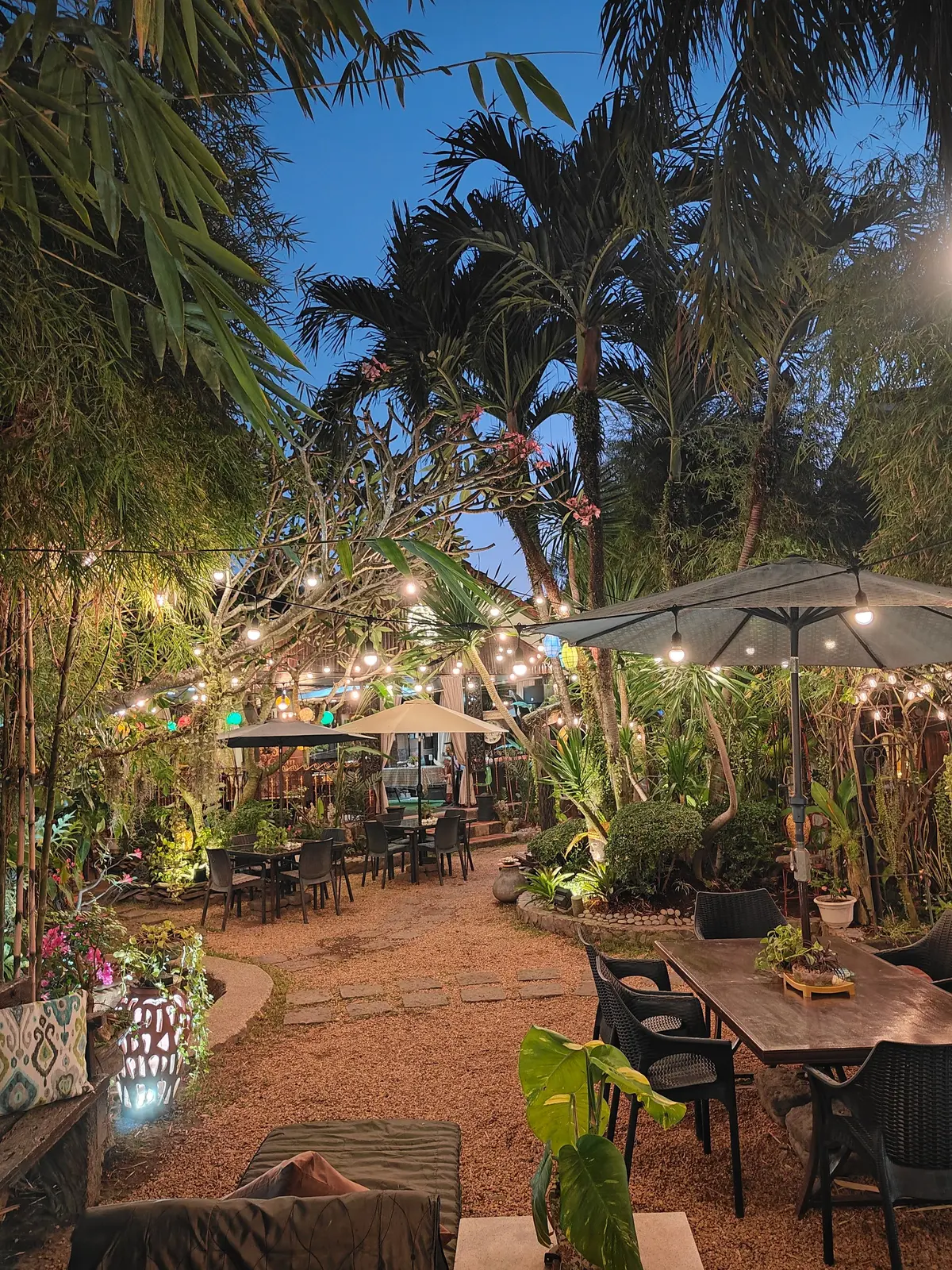 Palms and lanterns in the garden at twilight
